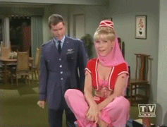 Gif Barbara Eden Larry Hagman I Dream Of Jeannie Animated Gif On Gifer