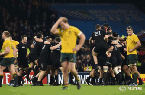GIF rugby world cup - animated GIF on GIFER