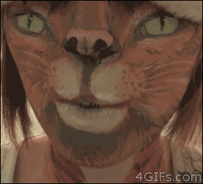 Gif Paint Cat Cute Animated On Gifer