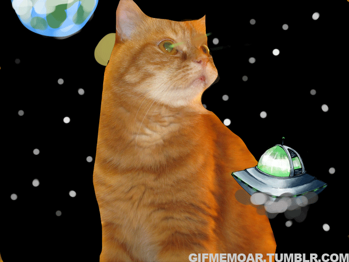 Включи анимацию кота. Кот в летающей тарелке. Кот НЛО. Кот Планета. Котнбло это.