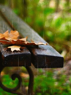 autumn rain gif