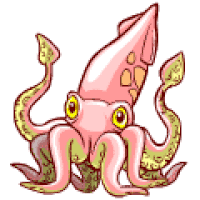Image result for squid animation  gif
