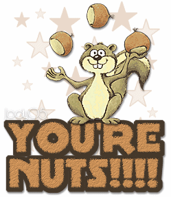 I Think Youre Nuts I Think You'Re Nuts GIF - I think youre nuts I