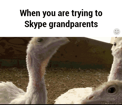 Are playing you see. картинки для описания для детей. Now william and rose перевод. перевод now william and rose are playing you see but here comes mummy it's time for tea на русский.