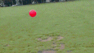 Fetch GIF - Find on GIFER
