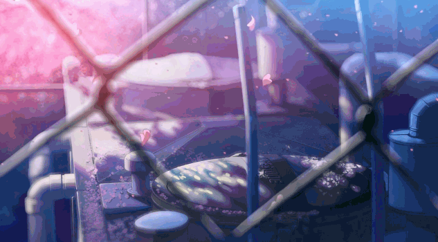 5 Centimeters Per Second Gif Find On Gifer