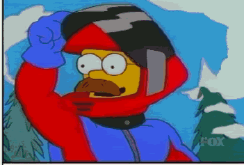 Flanders Gif Find On Gifer