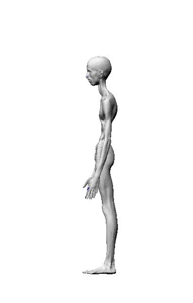 GIF human - animated GIF on GIFER