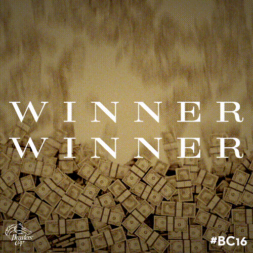 Breeders cup camera panning over the pond GIF Find on GIFER