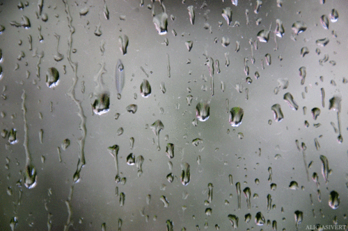 Дождь хлещет в стекла