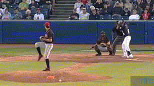 LeIG.gif