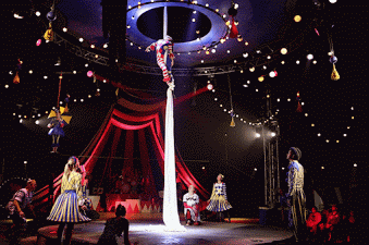 Circus GIF - Find on GIFER