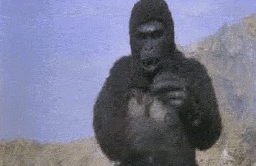 Горилла анимированная. Грустная горилла. Горилла gif. Обезьяна показывает средний палец. Обезьяна кидает обезьяну