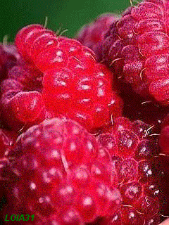 Гифка малина с языком