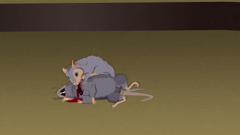 Kill Rats GIFs