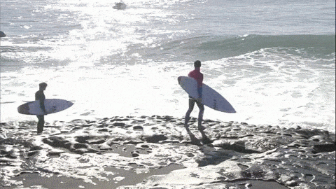 surfboard-fuck-gif-strict-lesbian-ass