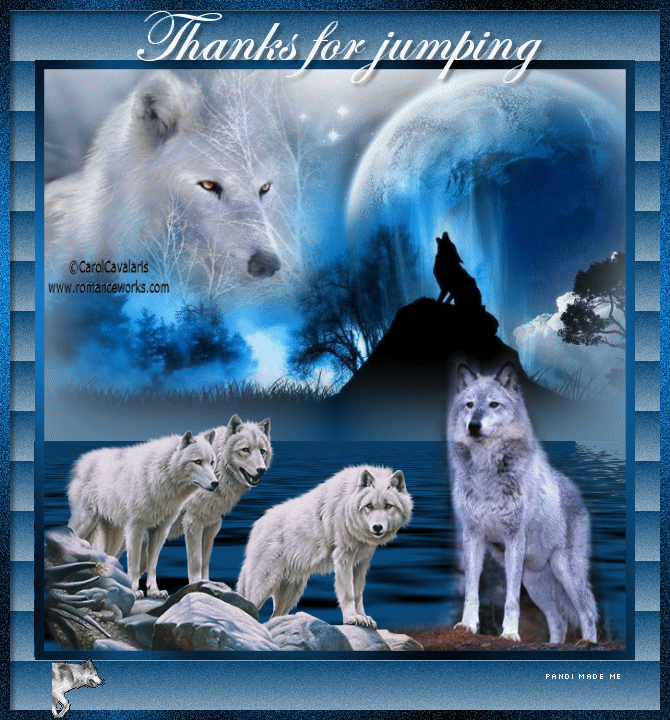 Animal rights GIF - Find on GIFER