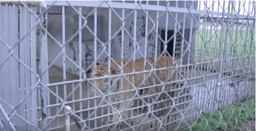 https encrypted tbn0 gstatic com images q tbn and9gcrzama jdfqnqvkt4lnfa8gish74jsfig vrw usqp cau 2