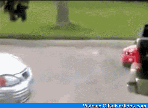M9BG.gif