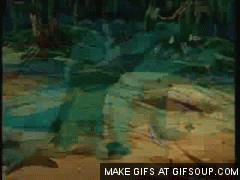 Alligator GIF - Find on GIFER