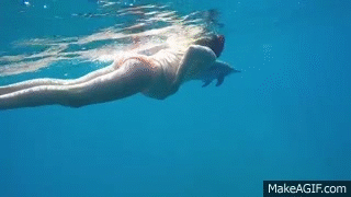 dirty-dolphin-se-gif-very-young-sexy-boys-galleries