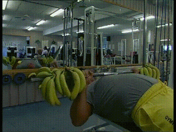 GIF weight bananas - animated GIF on GIFER