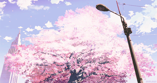 Featured image of post Cute Anime Cherry Blossom Gif With tenor maker of gif keyboard add popular anime cherry blossom tree animated gifs to your conversations