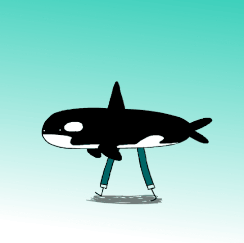 Killer whale GIF - Find on GIFER Killer whale GIF - Find on GIFER