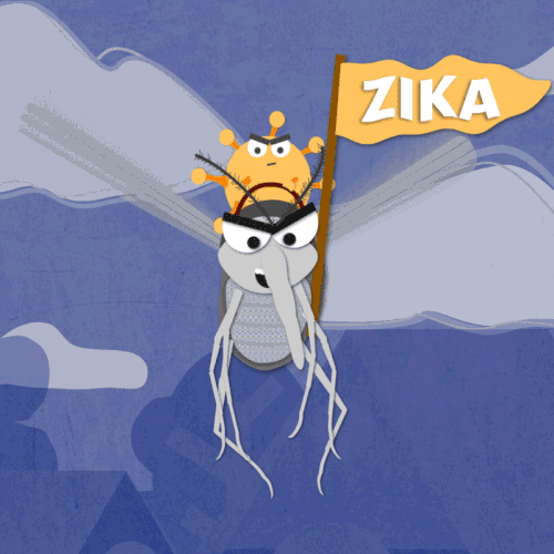 Mosquito GIF Find on GIFER