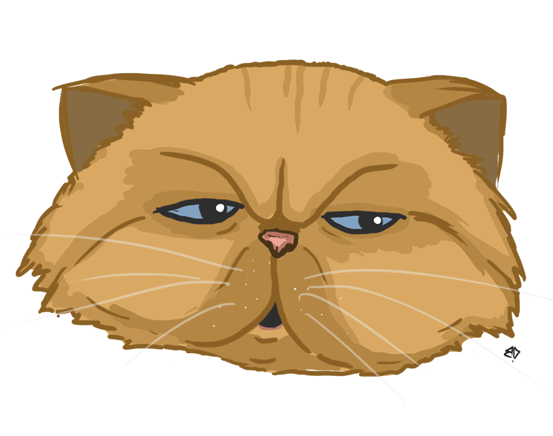Котик гиф. Гифки с котом. Персидский кот аниме. Персидский кот рисунок. Довольный котик гиф.