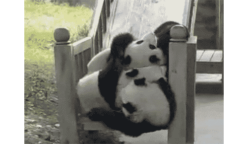 gif panda falling slide animated gif on gifer by gotaxe
