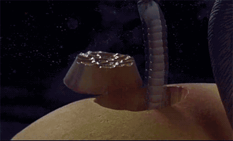 Peach state GIF - Find on GIFER