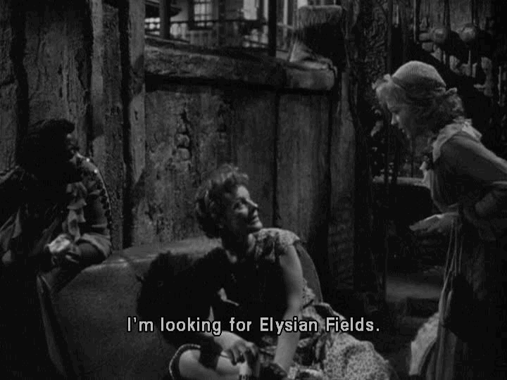 A Streetcar Named Desire Citation Tennessee Williams Gif Find On Gifer