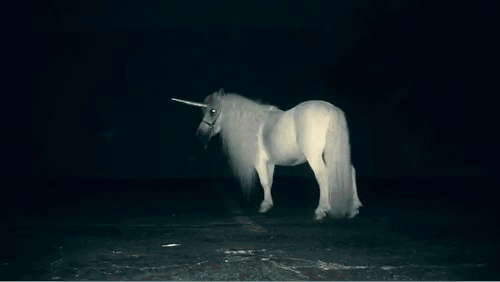 White Horse Blanco Increible Gif Find On Gifer