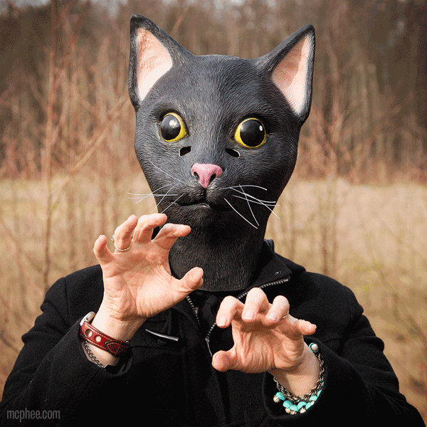 Маска кота. Коты в масках. Маска черного кота. Человек с маской котика.