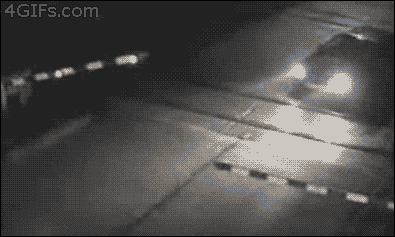 MYWb.gif