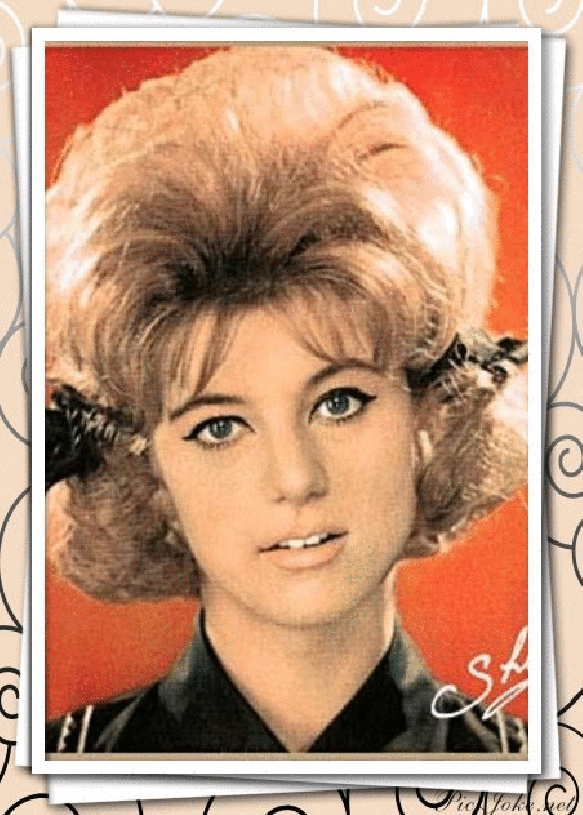 Alexander roos GIF Find on GIFER