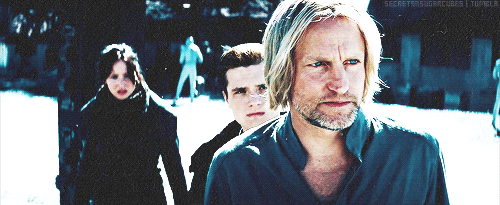 Haymitch Is Not Amused The Hunger Games Gif - IceGif