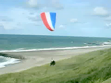 Parachutepants GIFs  Get the best GIF on GIPHY