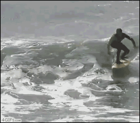 Surfing GIF - Find on GIFER