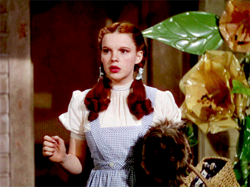 Toto victor fleming GIF - Find on GIFER