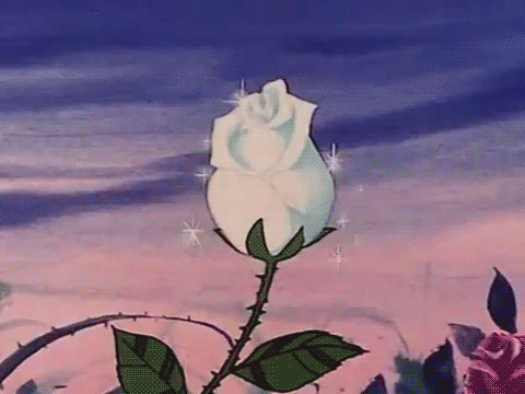 Blood Flower Animated GIF  GIFs  GIFSoupcom GIF  Gfycat