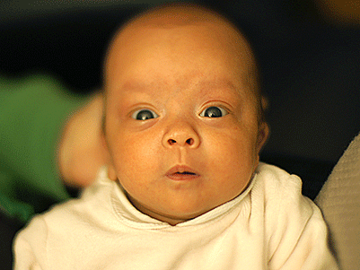 Bebe Baby Gif Find On Gifer