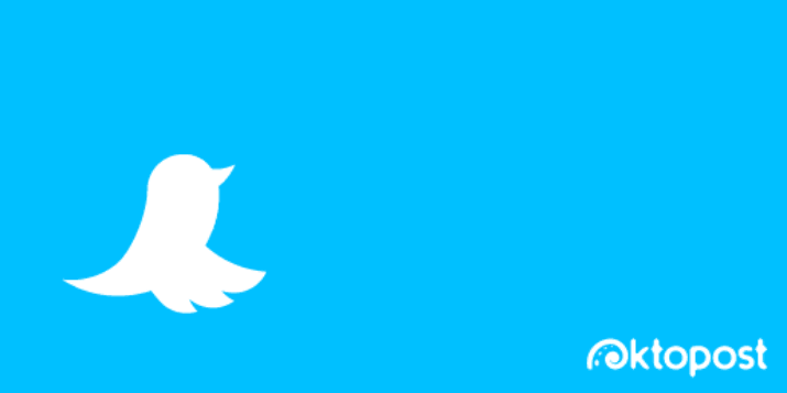 Twitter animations. Твиттер. Эмблема твиттера. Птичка Твиттер. Птица твиттера.