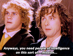The lord of the rings merry fellowship of the ring GIF - Find on GIFER