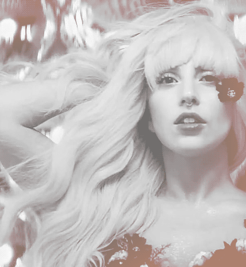 GIF lady gaga animated GIF on GIFER