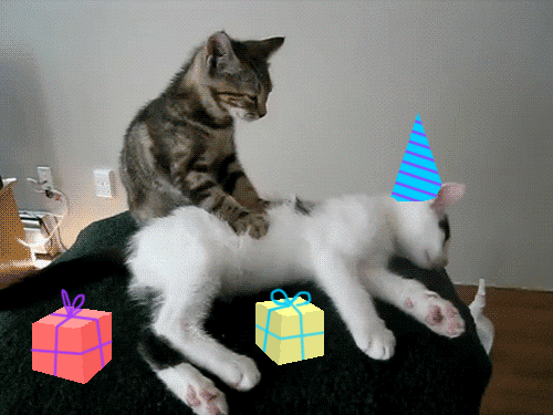 Gif Feliz Cumpleanos Happy Birthday Cat Birthday Animated Gif On Gifer By Ianzan