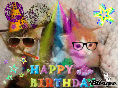 Lolcat Gif Find On Gifer