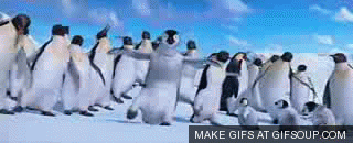 Penguins baby GIF - Find on GIFER