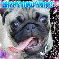 Képtalálat a következőre: „happy new year pug gif”